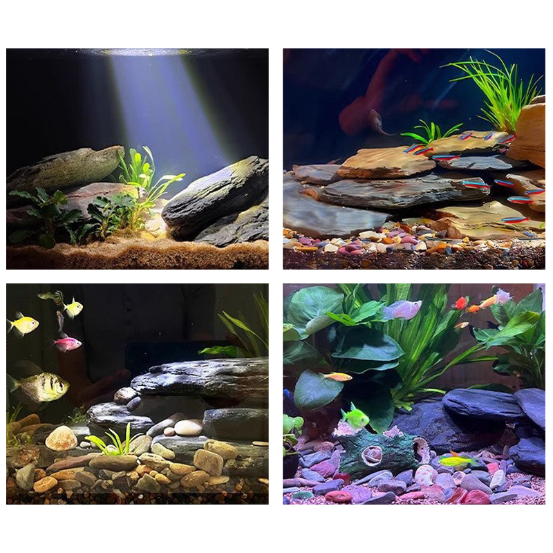 500/1000g Balık Tankı Peyzaj T - Marine Fish Tank incelemesi ve fiyatı