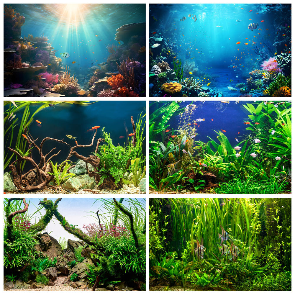 Deniz Altında Deniz Dibi Dünya - Aquarium Marine World incelemesi ve fiyatı