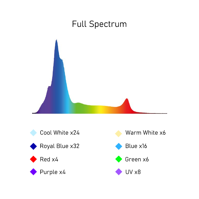 A8SE II Max Ve Blue 240W Tam S - Marine Coral incelemesi ve fiyatı