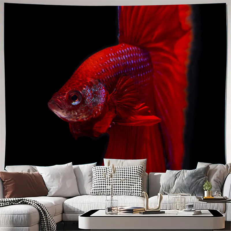 Canlı kırmızı Betta balığı gob - Ocean Aquarium incelemesi ve fiyatı